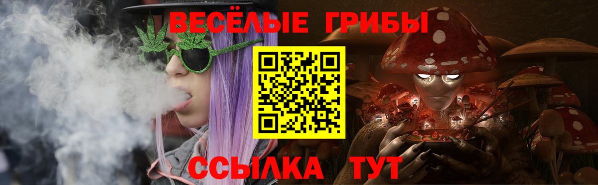 Псилоцибиновые грибы мицелий  Вход с VPN  Калуга 